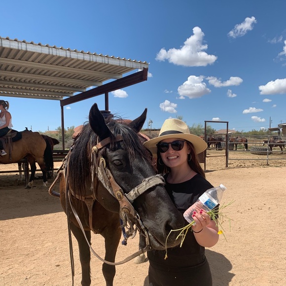 Meet your Posher, Chelsea - Picture 2 of 2